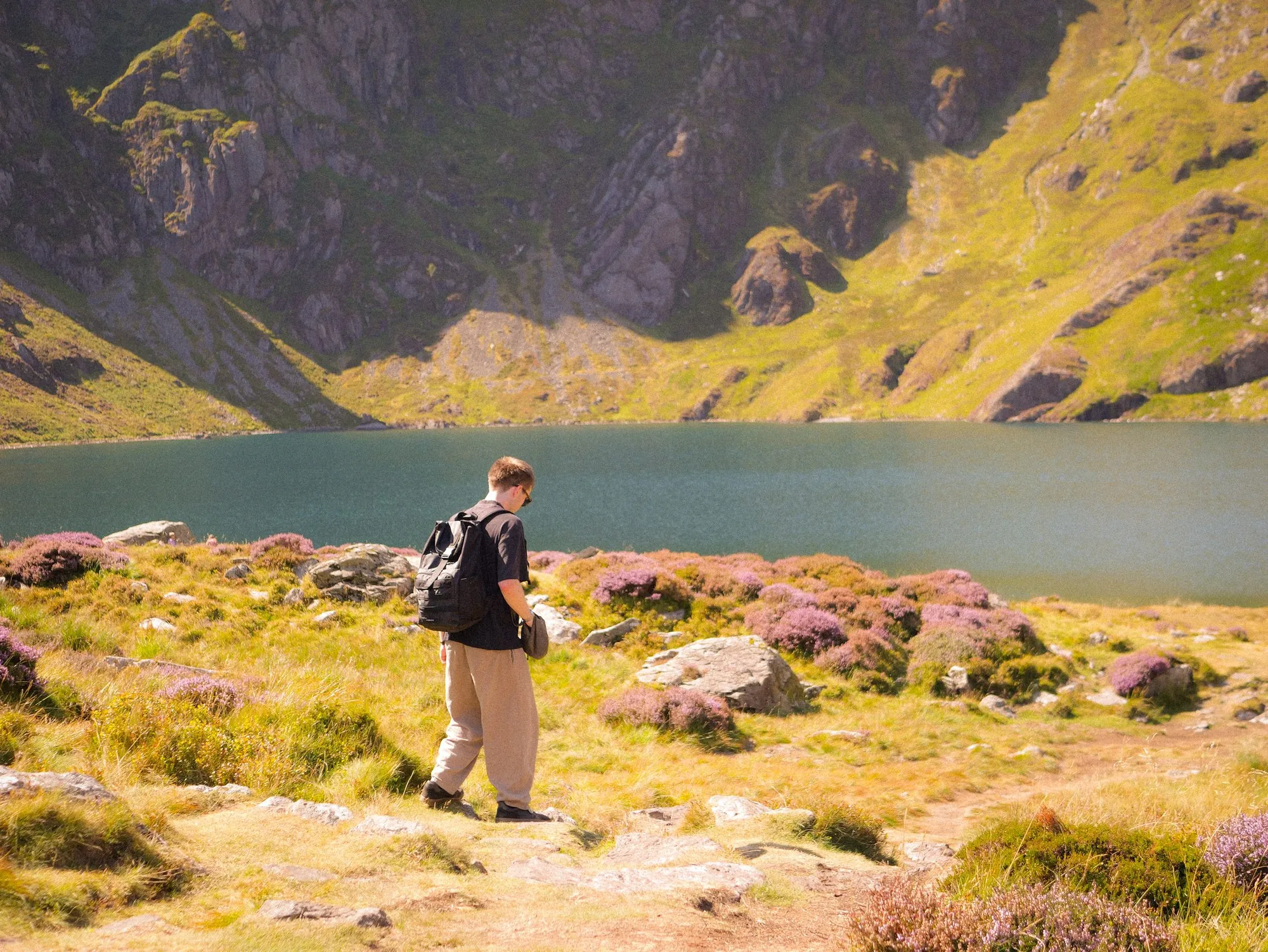 North Wales, frame 729