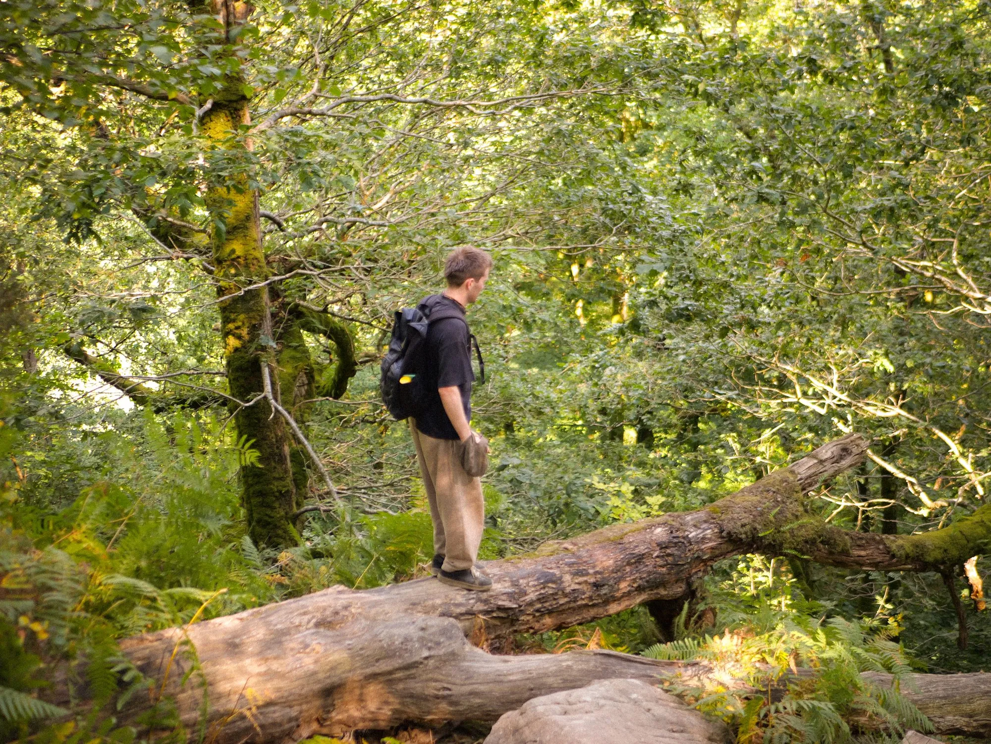 North Wales, frame 775